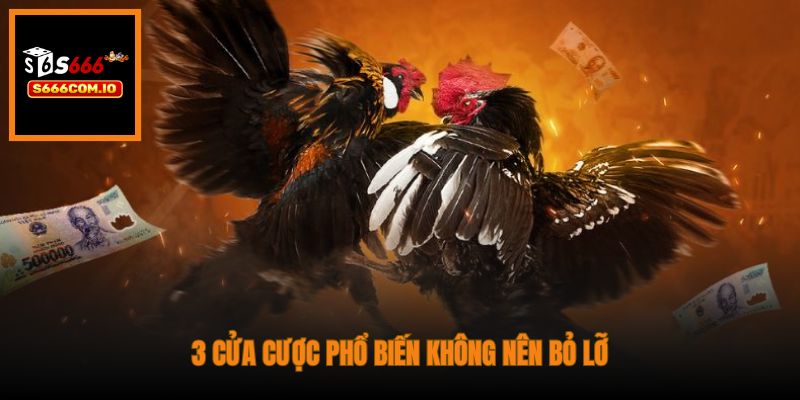 3 cửa cược phổ biến không nên bỏ lỡ