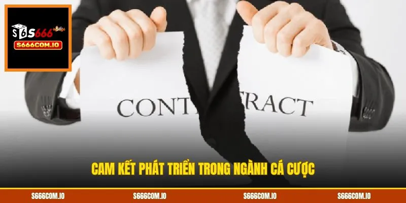 Cam kết phát triển trong ngành cá cược