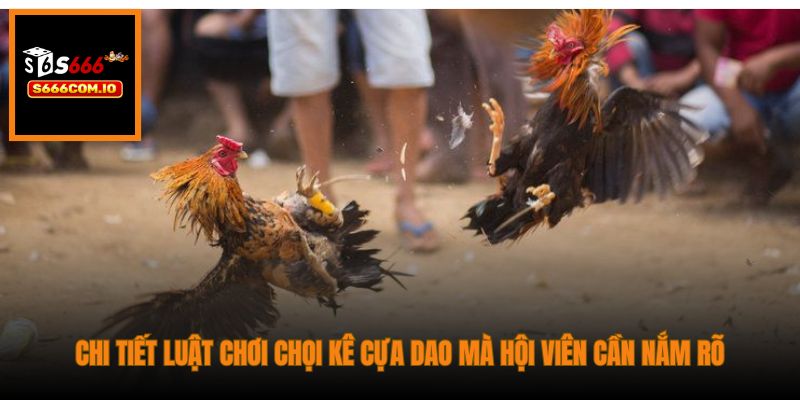 Chi tiết luật chơi chọi kê cựa dao mà hội viên cần nắm rõ