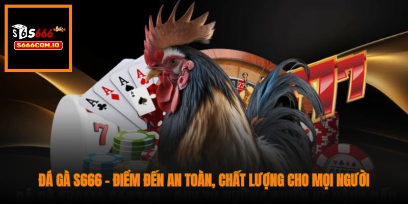 Đá Gà S666 - Điểm đến an toàn, chất lượng cho mọi người