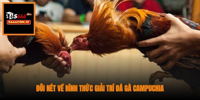 Đôi nét về hình thức giải trí đá gà Campuchia