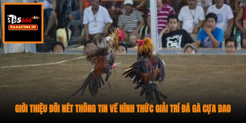 Giới thiệu đôi nét thông tin về hình thức giải trí đá gà cựa dao