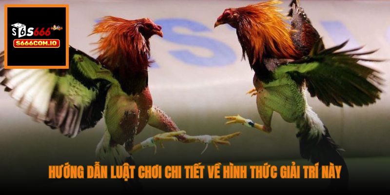 Hướng dẫn luật chơi chi tiết về hình thức giải trí này