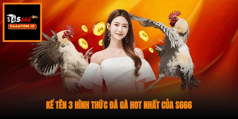 Kể tên 3 hình thức Đá Gà hot nhất của S666