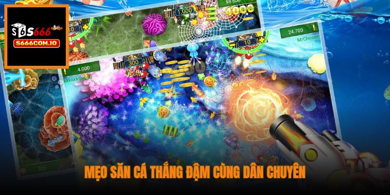 Mẹo săn cá thắng đậm cùng dân chuyên