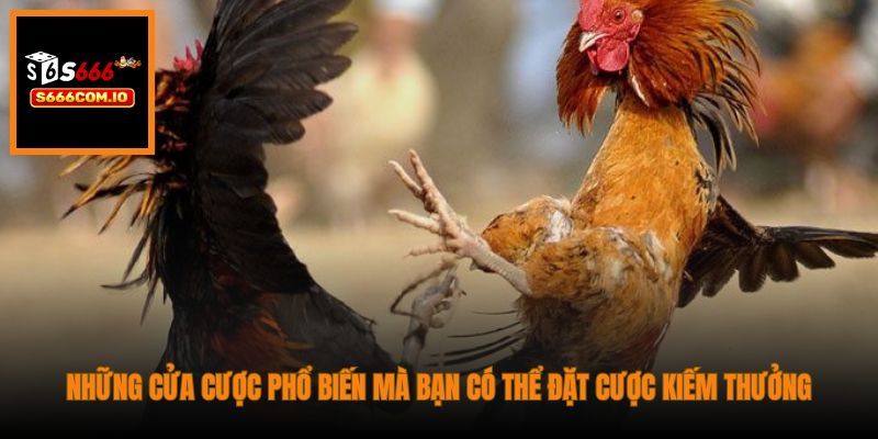 Những cửa cược phổ biến mà bạn có thể đặt cược kiếm thưởng