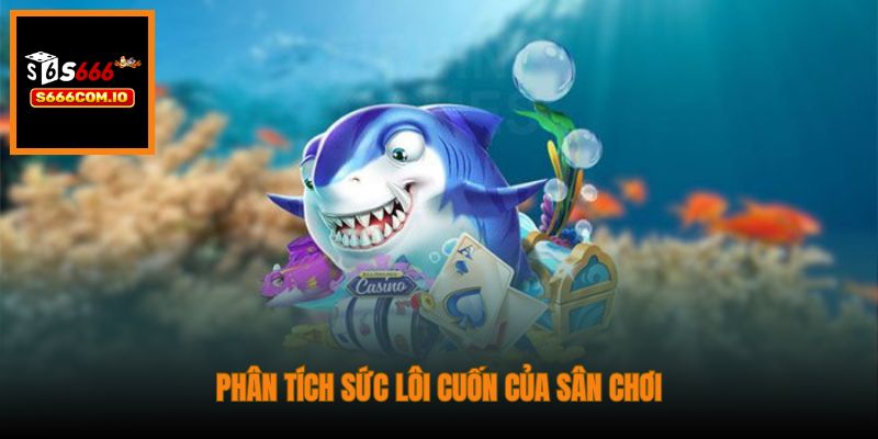 Phân tích sức lôi cuốn của sân chơi