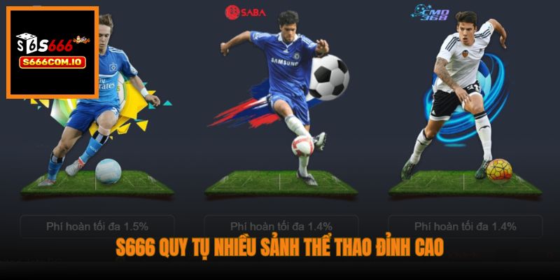 S666 quy tụ nhiều sảnh thể thao đỉnh cao